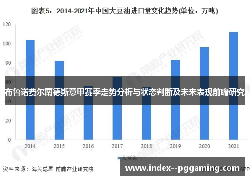 布鲁诺费尔南德斯意甲赛季走势分析与状态判断及未来表现前瞻研究 布鲁诺费尔南德斯意甲赛季走势分析与状态判断及未来表现前瞻研究